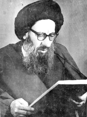 سيدمرتضى حسينى فيروزآبادى.jpg