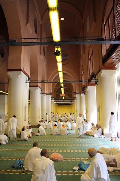 پرونده:شجره.jpg