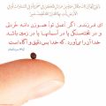 Quran 31-16.jpg