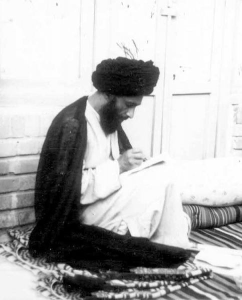 پرونده:سیدمحسن (6).jpg