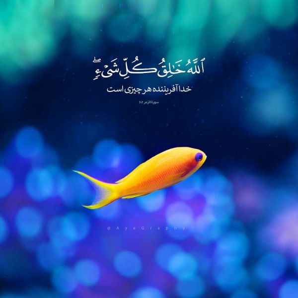 پرونده:آیه 62 سوره زمر (1).jpg