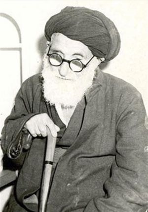 رضا فیروزآبادی.jpg