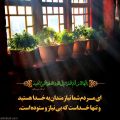 Quran 35-15.jpg