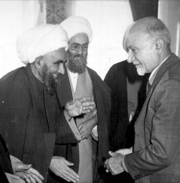 پرونده:عبدالحسين (4).jpg