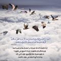 Quran 24-41.jpg